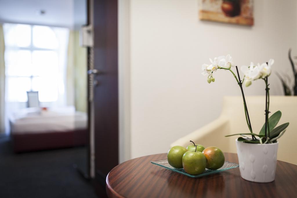 Enziana Hotel Vienne